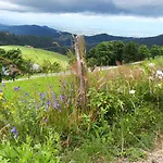 View House, Schauinsland, Black Forest * Münstertal