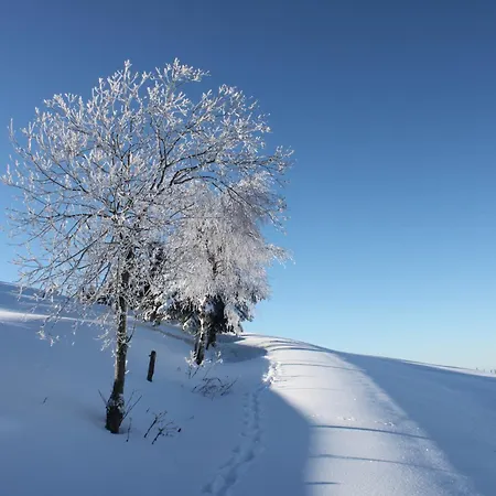 View House, Schauinsland, Black Forest *
