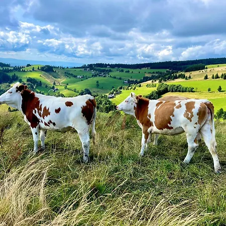 View House, Schauinsland, Black Forest * Muenstertal