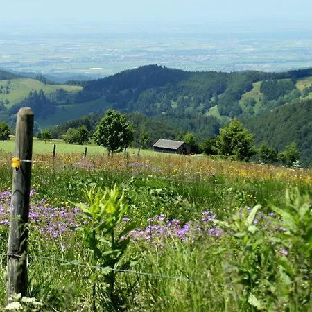 Apartment View House, Schauinsland, Black Forest *