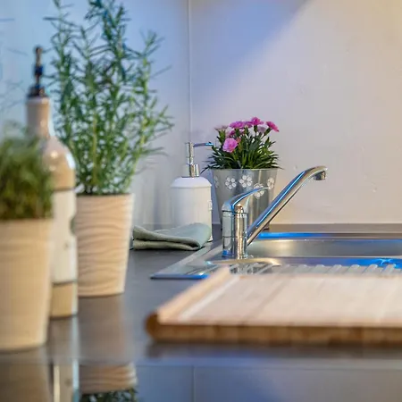 View House, Schauinsland, Black Forest Apartment Muenstertal